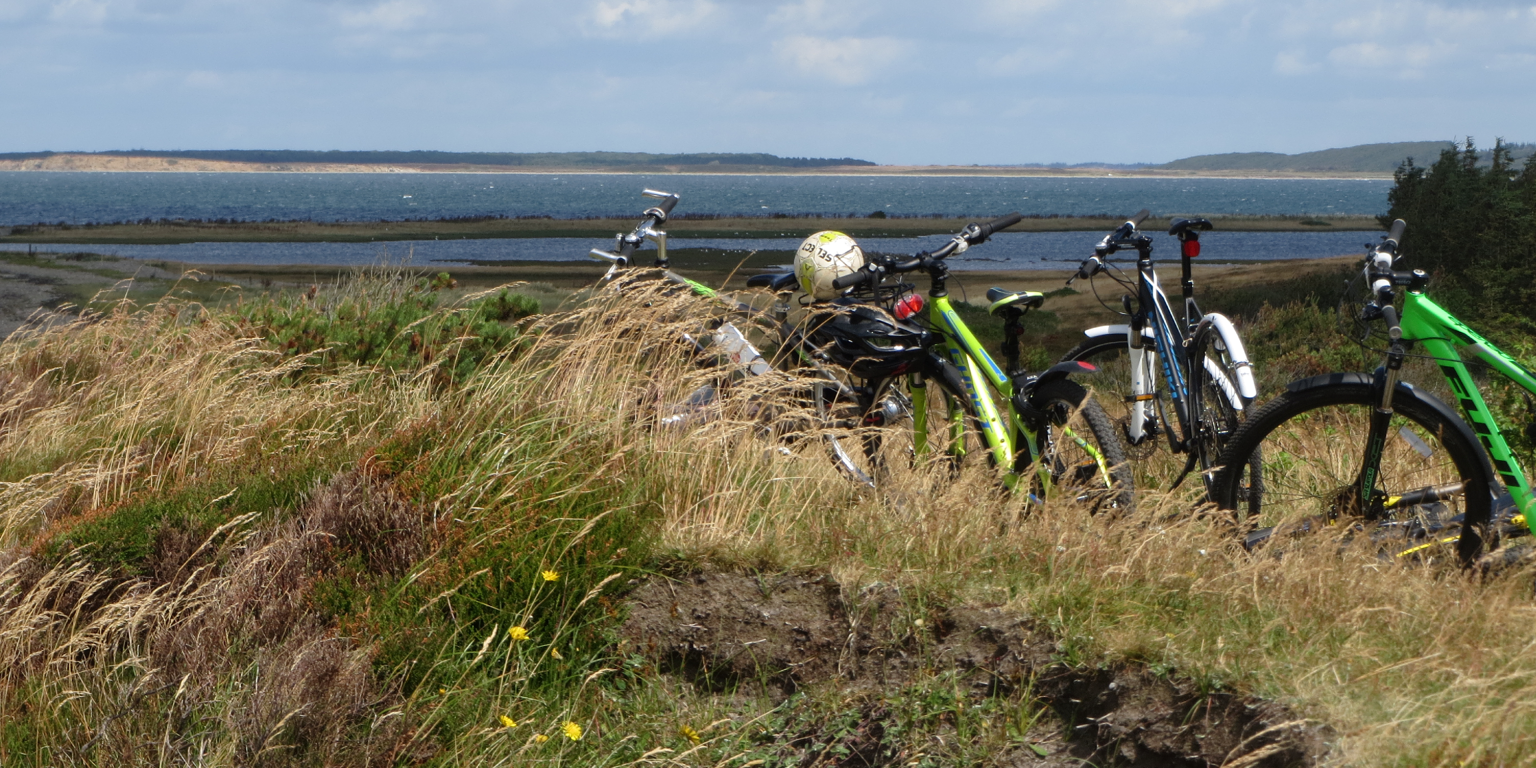 Grafisk element: Cykeltur i naturen, kredit Jan Bendix